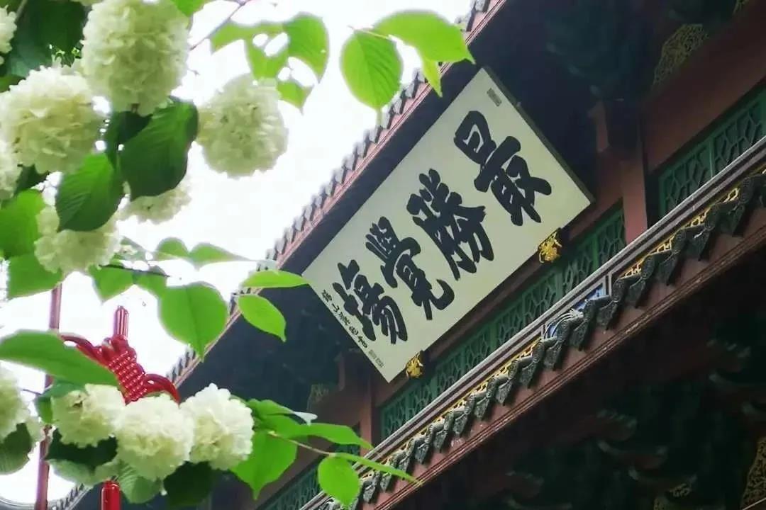 ӡ�ⷨʦ�������������Ʒ���