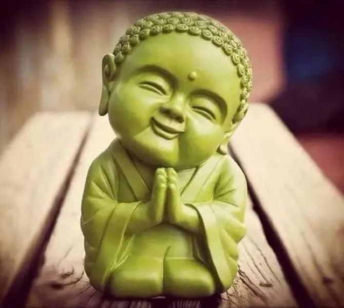 ���Ӿܾ��ش��ʮ�ĸ�����