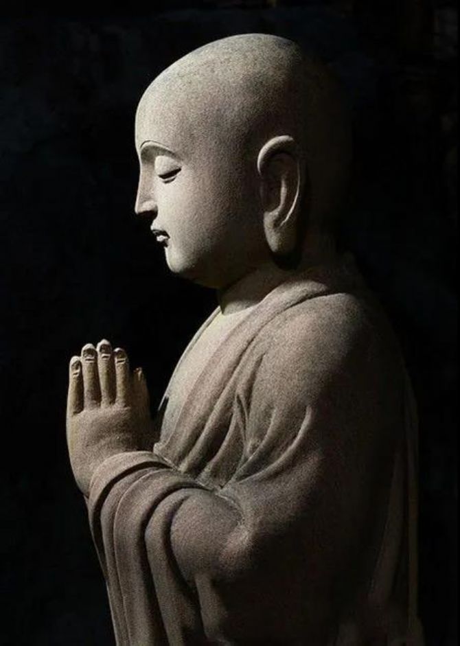 ���Ӿܾ��ش��ʮ�ĸ�����