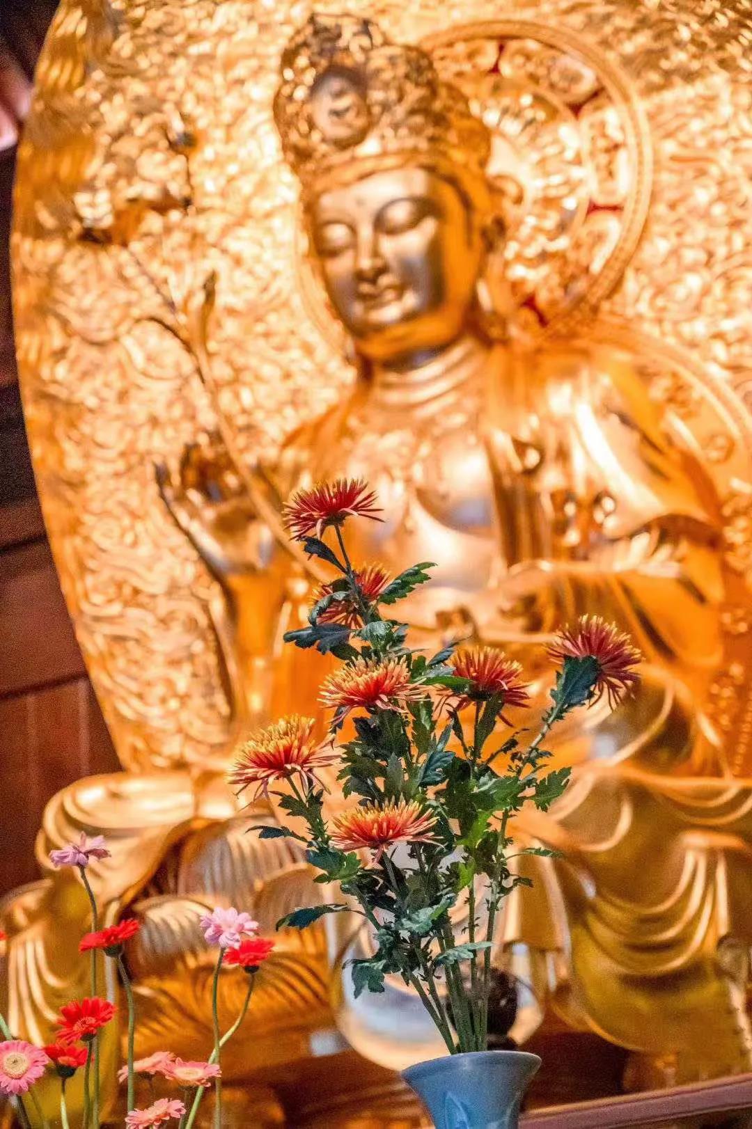 �����������������ľ���