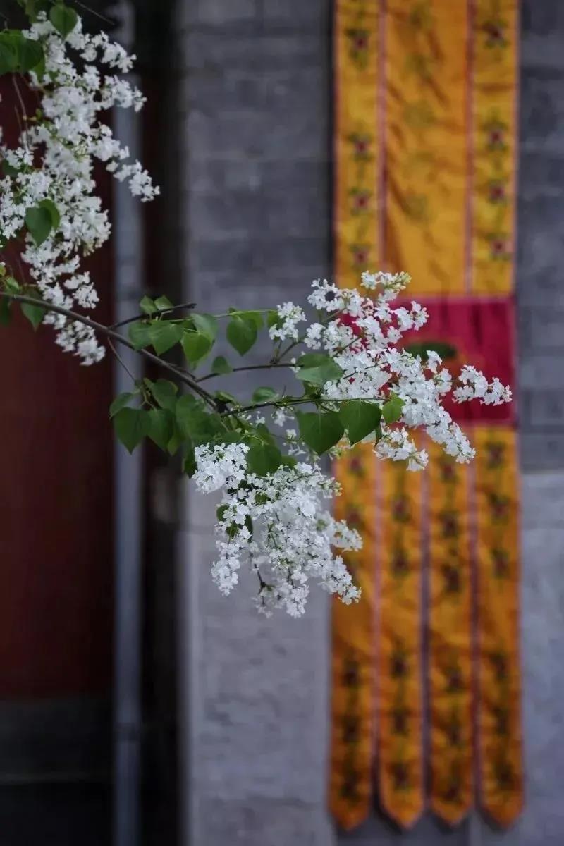 �����Ĳ��Ǹ��������Ķ��ǻ�