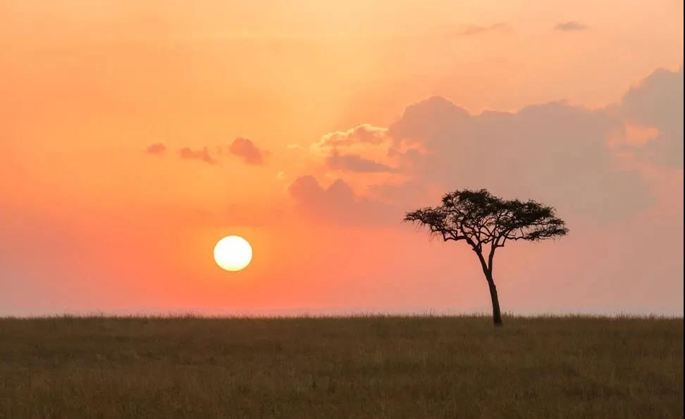 ��˭��˳�ۣ���һ���ǻۣ�����һ������