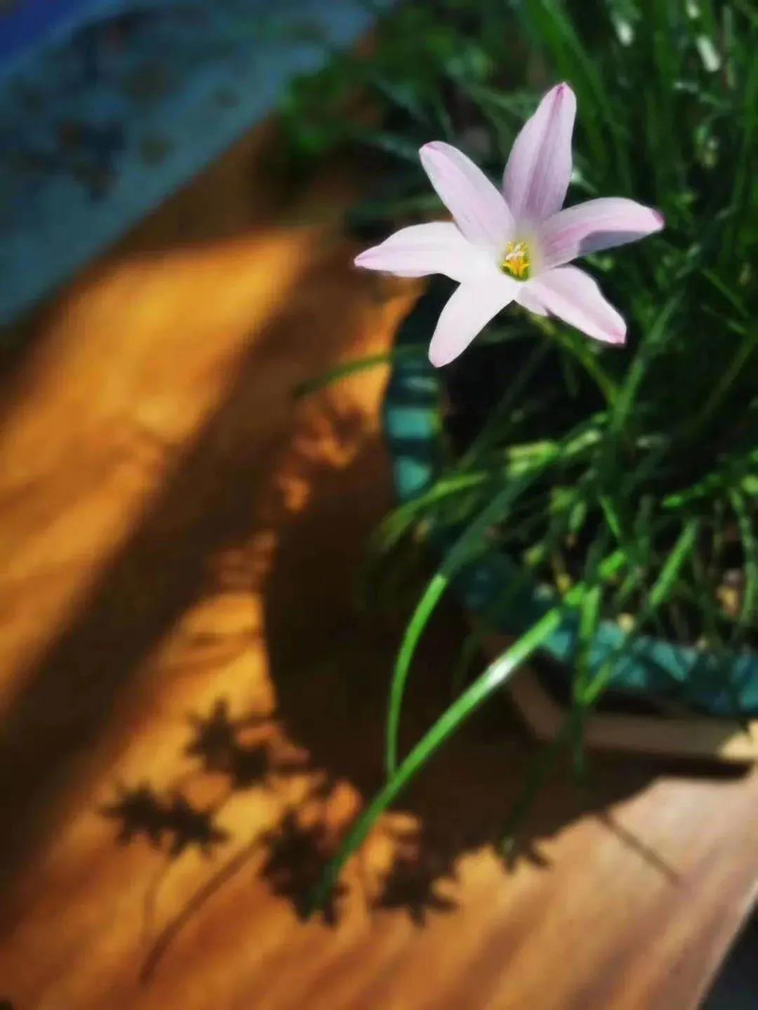 习惯在临终时的影响,不可忽视 习惯在临终时的影响,不可忽视