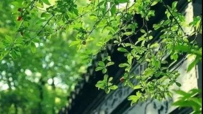 ������̫��Ҫ�ˣ�һ����������������ô�����µ�