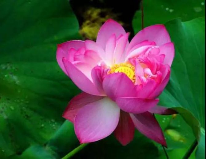 �������⼸�㣬�����й��£�