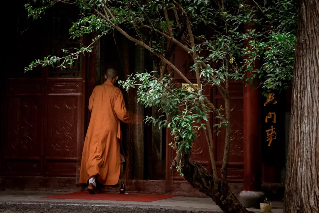 参禅人千万不要动这种念头 参禅人千万不要动这种念头