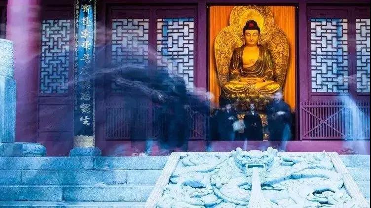 一个人体内到底躲了多少众生?人人必看 一个人体内到底躲了多少众生?人人必看