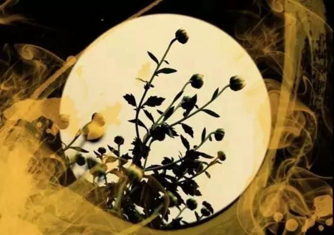 修持大悲咒就好,何须去整容? 修持大悲咒就好,何须去整容?