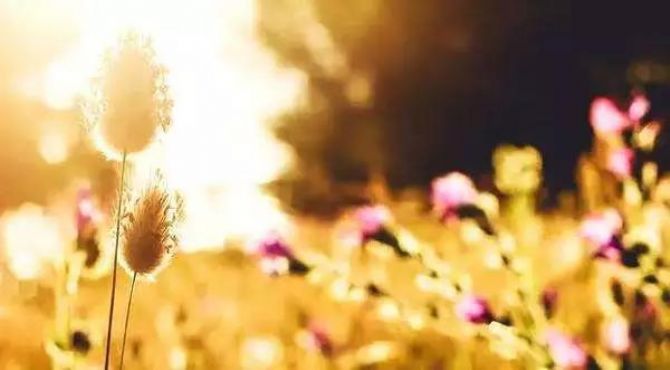 一个人有多少福报,完全由自己决定! 一个人有多少福报,完全由自己决定!