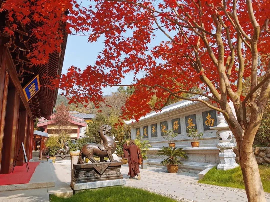 宁生西方下下品,不做娑婆上上人 宁生西方下下品,不做娑婆上上人