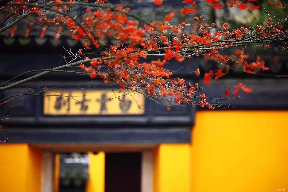 �µ�һ�꣬�°���ҵĹ��ˣ�