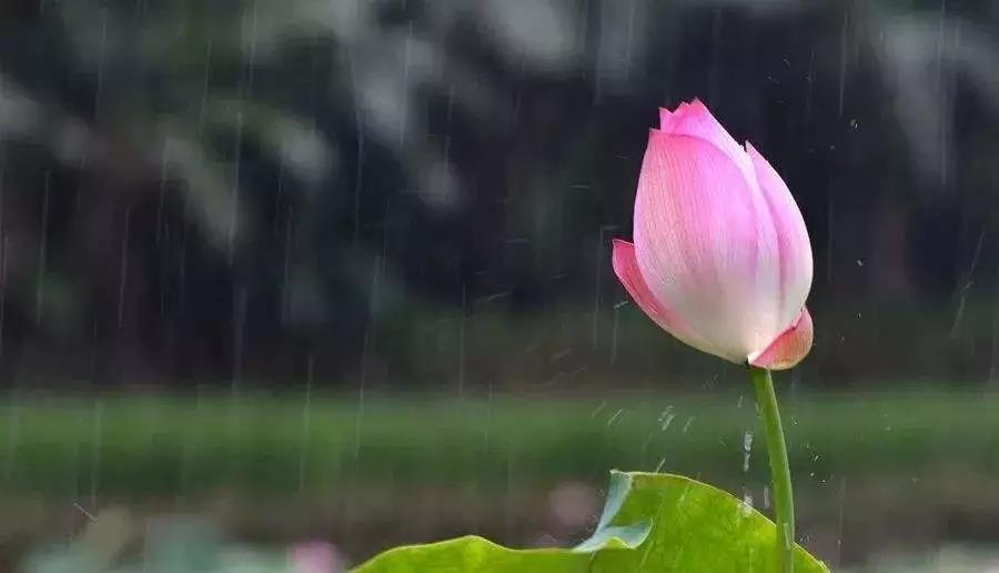 �����������ԭ��