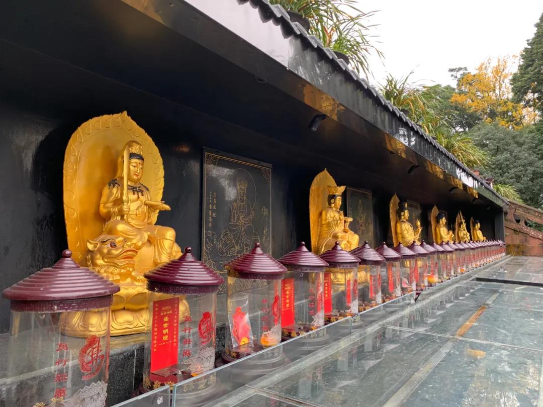 ֻ�з�������ȥת�䣬���������������Ҹ������壡