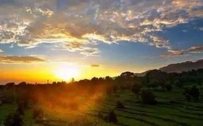 不怕念头起,只怕觉照迟 不怕念头起,只怕觉照迟