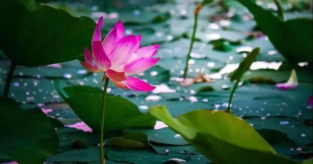 ҵ��������ʧ��������������ת��