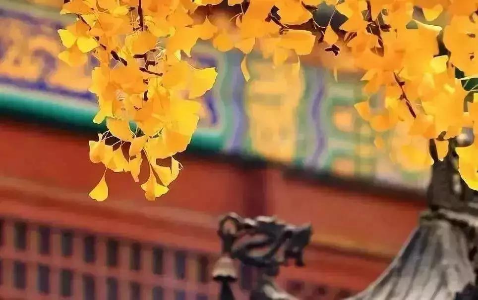 九句话告诉你什么是佛缘,看看你有吗? 九句话告诉你什么是佛缘,看看你有吗?