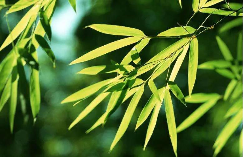 ������̬��ͬ������ͻ᲻ͬ