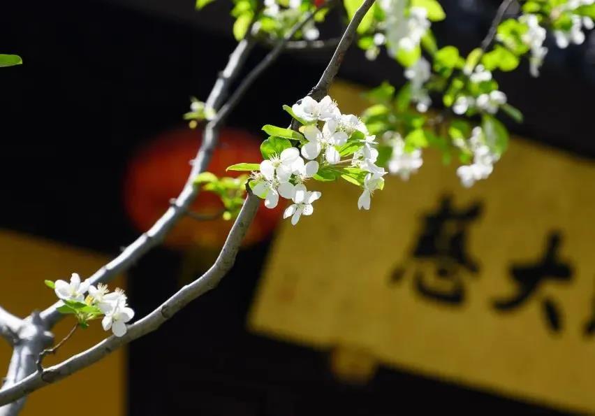 �����Ҫ�úðѼ����ⲿ���������​