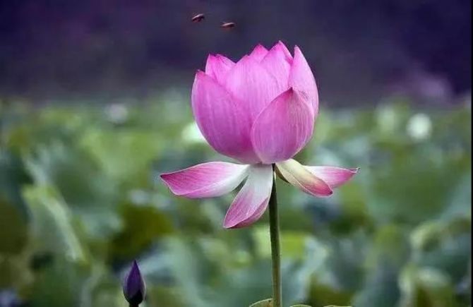 这些最好的“护身符”,你值得拥有! 这些最好的“护身符”,你值得拥有!