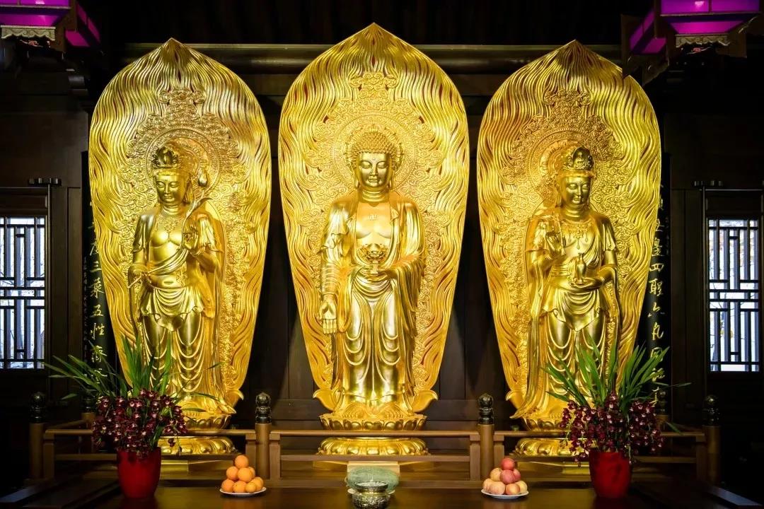 一句阿弥陀佛,有什么难呢?难在“不老实” 一句阿弥陀佛,有什么难呢?难在“不老实”