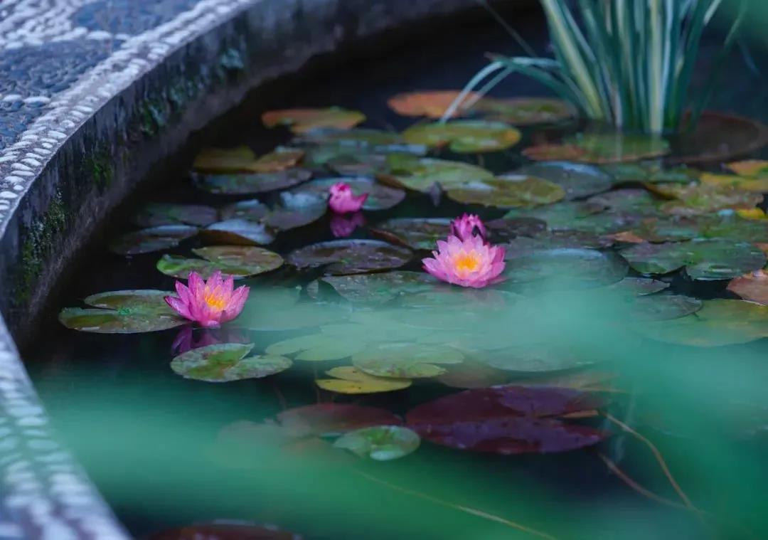 Ҫ���������������Ҫ����֪������