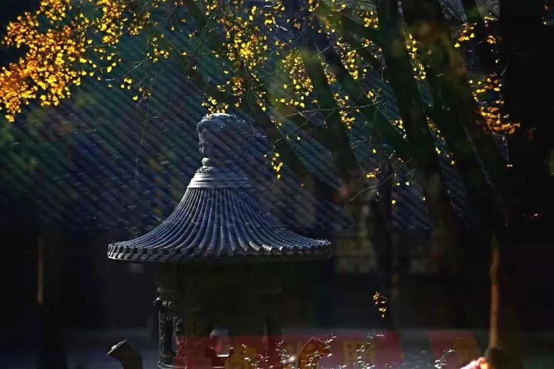 �����ķ���Զ�������������˰���