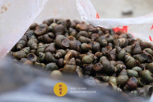 ���գ������������������ʮ���ڷ������ޣ���ϲ�μӣ�