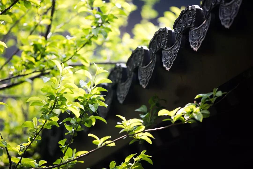 修行之人“十不求”,条条都是入道法门! 修行之人“十不求”,条条都是入道法门!