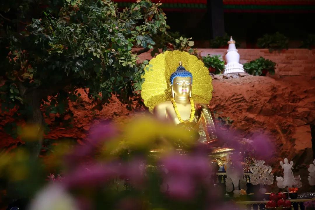 һ���ţ�Ҫ�����������ů��