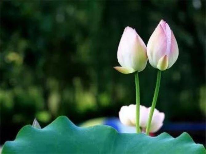 ���ͯŮ�ʷ��ʮ�����⣬���ǵ�����������