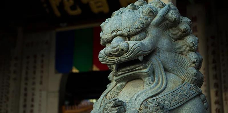 ����Լ�Ҫ˵�Ļ������ܴ�������