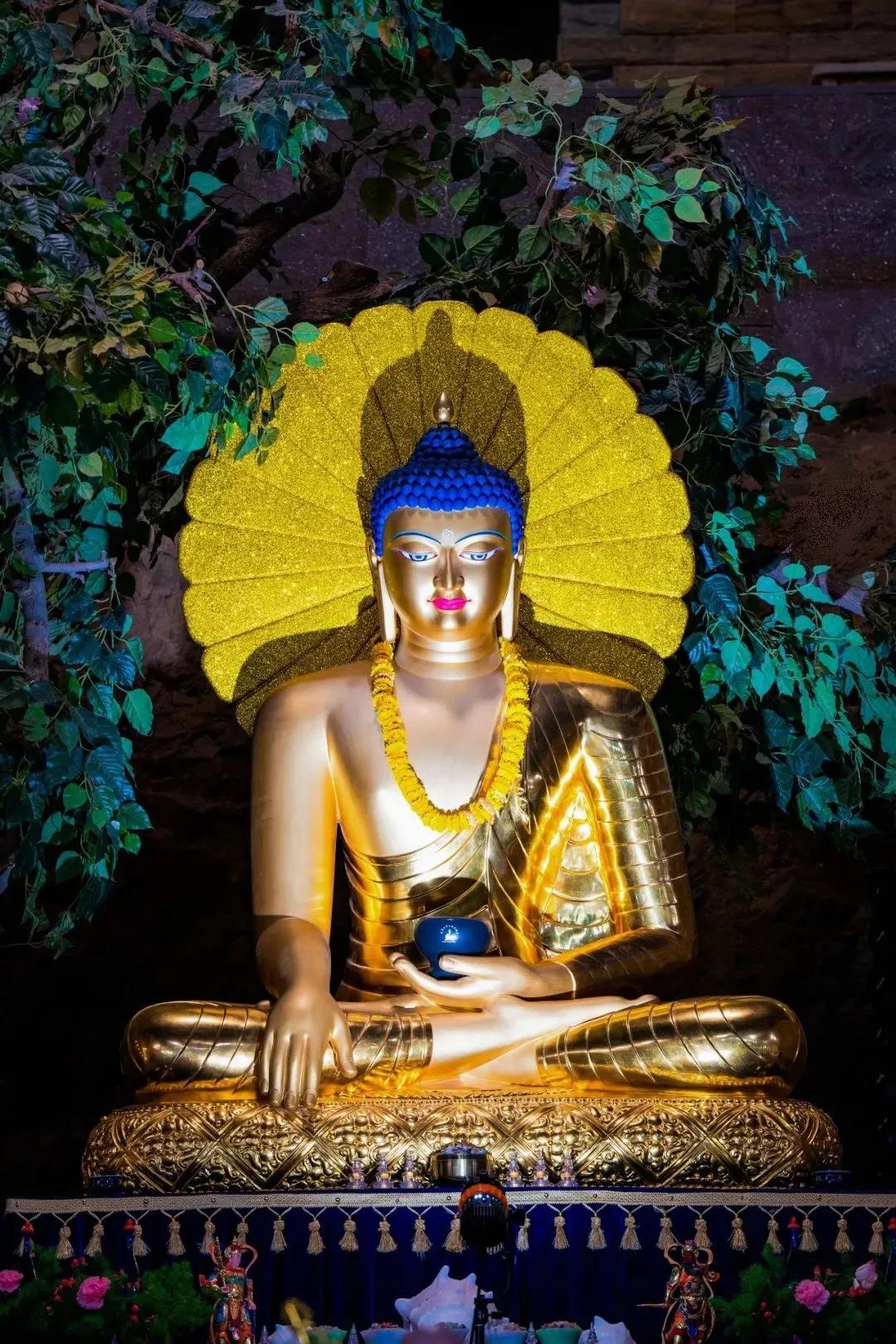 ���˽�_|_��ӭ����Ĳ���ɵ��գ���Ը�����Թ��ɷ����