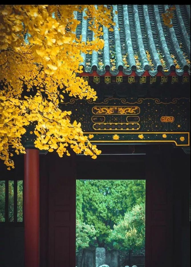 �����ڵ���ںͻ�����������Ϊ������ʱ�õ�