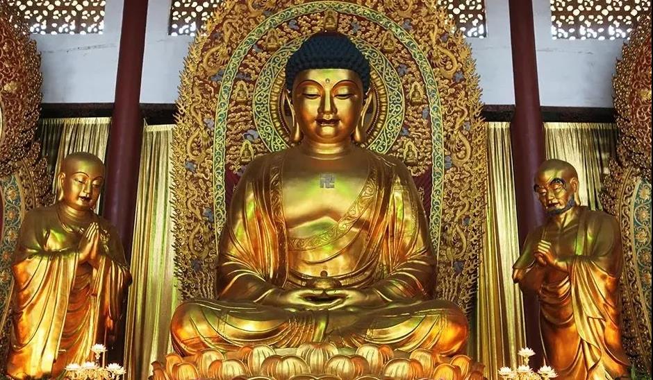 ������ɿ���������������