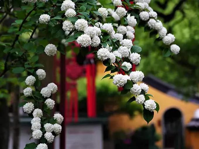 ������ɿ���������������