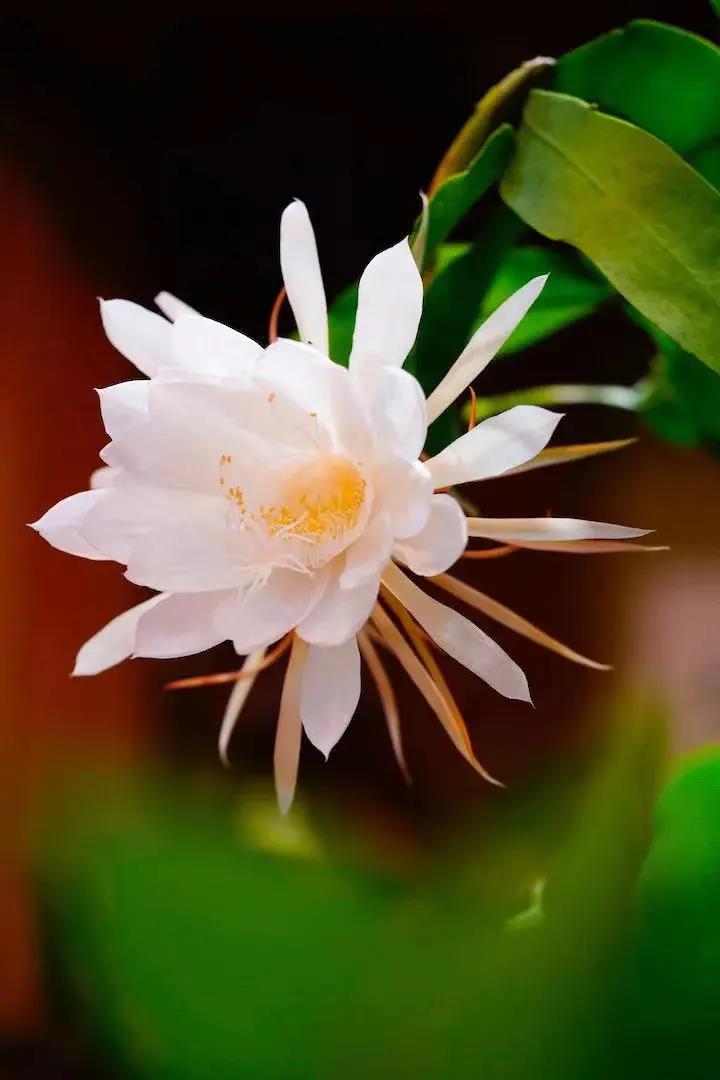 �㴮ϰ�ģ��������������