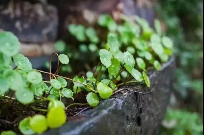 Ϊʲô�޵������ϰ��ࣿ