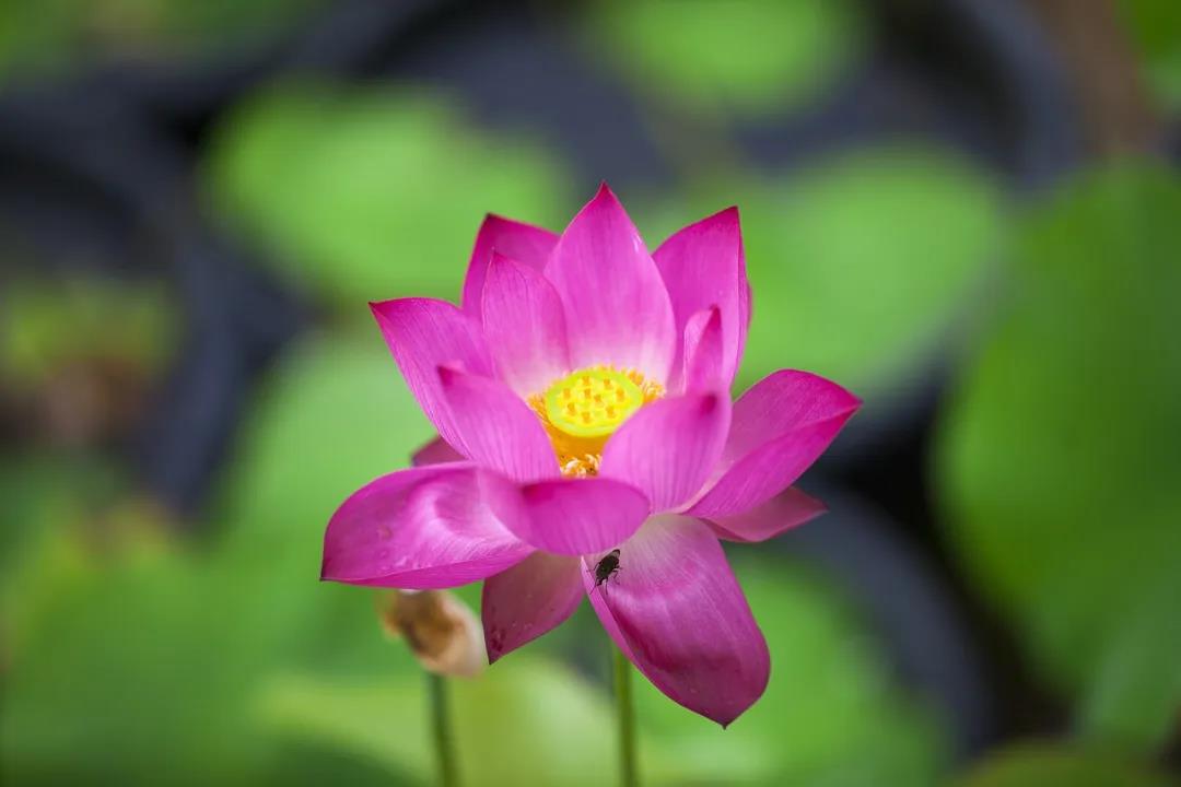 ѧ����ص��ǣ��ı��Լ����ⷽ��