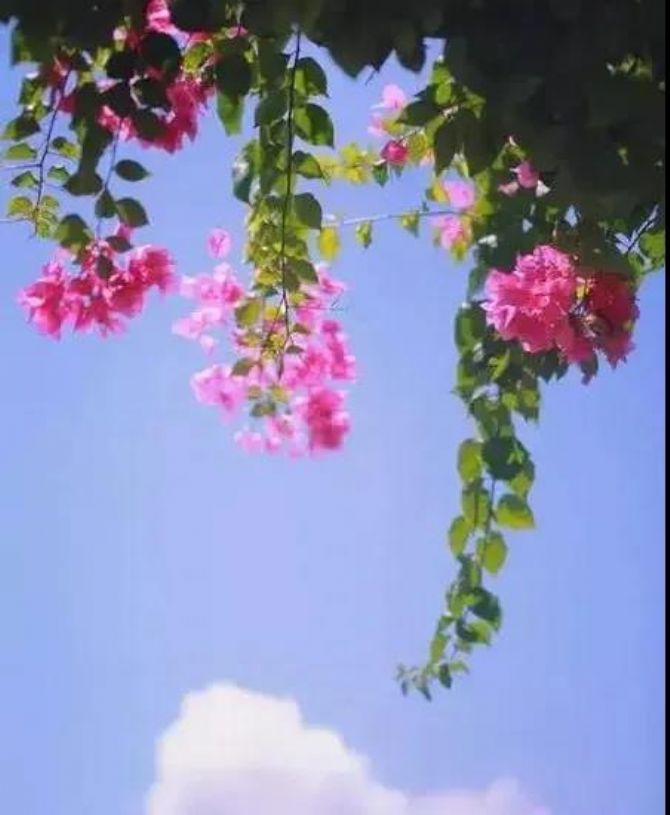 �������������Ʒ���������Ҫ�������Ʒ�