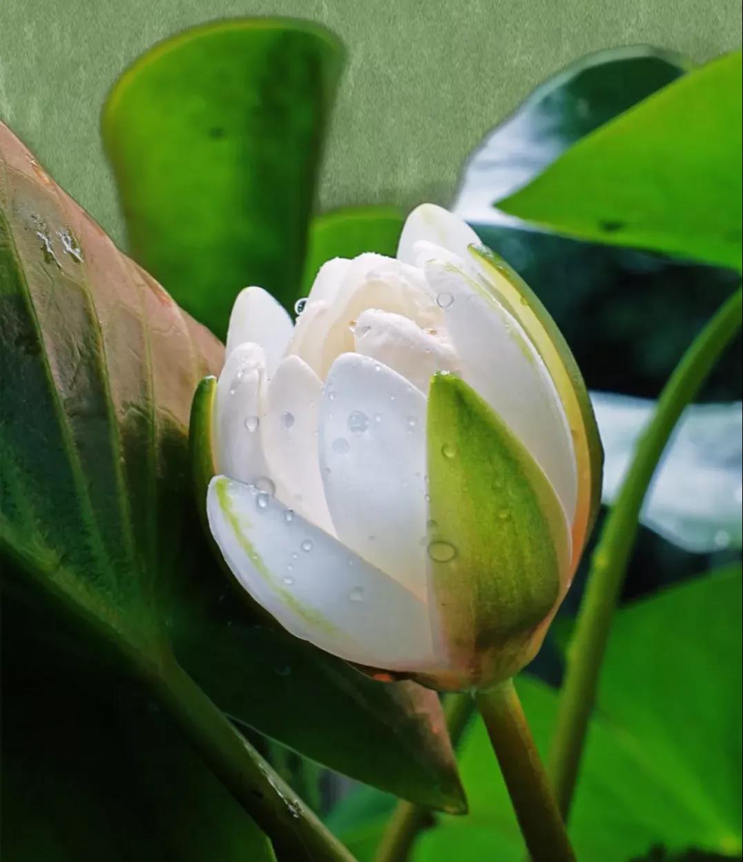 ����վ������������������������������±����ˣ�