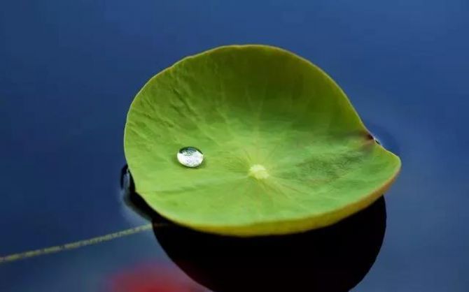 ����վ������������������������������±����ˣ�