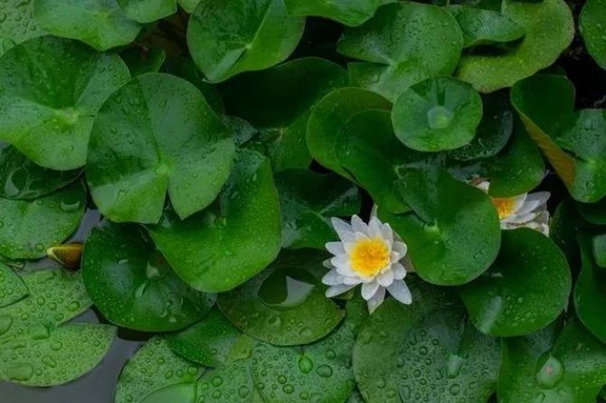 ɱ��Ϊ�ζ�������ʩΪ���и�����Щ������������