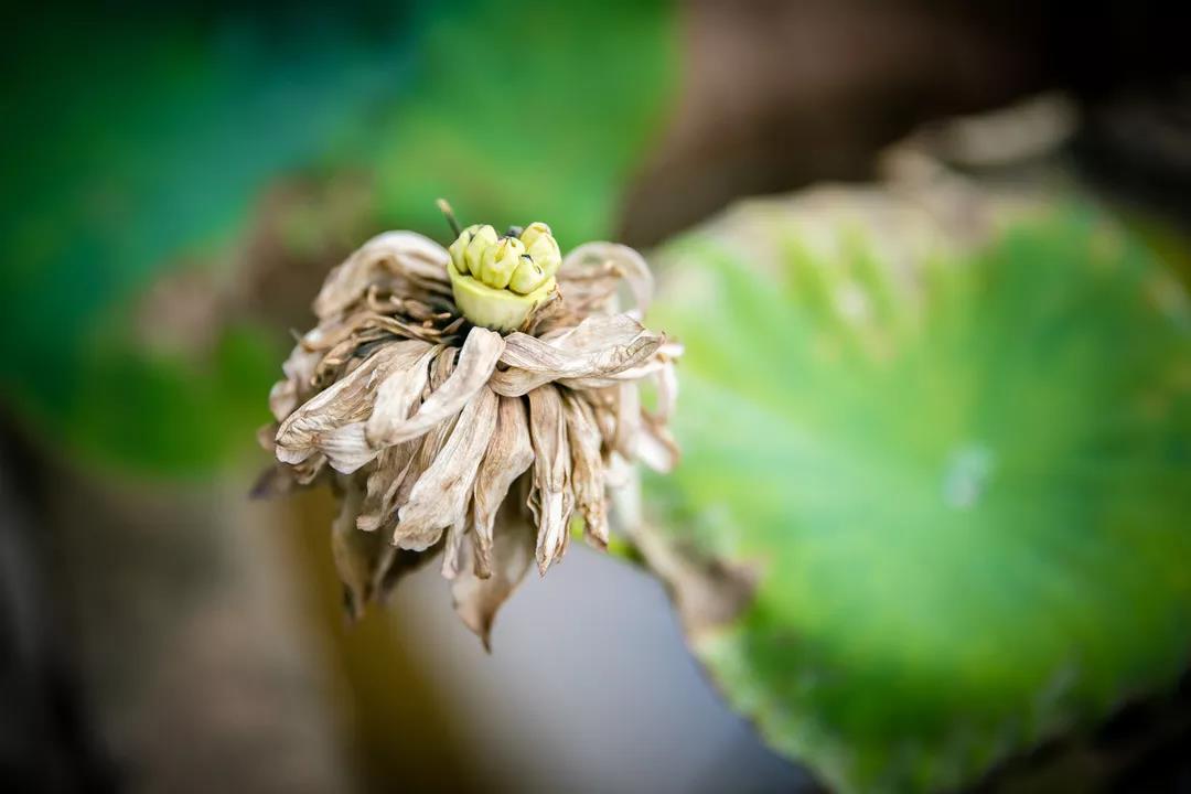 �󲻵á������롢�Ų��£�ֻҪ��͸��һ�㣬����Ϊ������ĥ