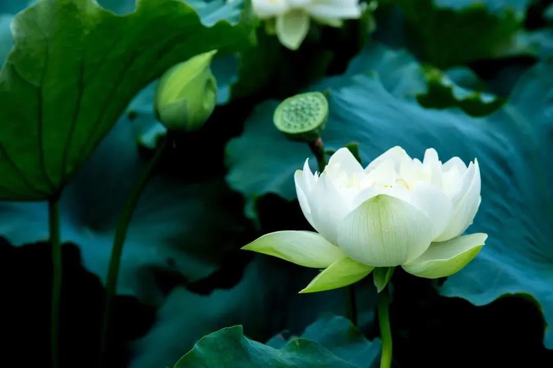 ���Ӧ����������Щ����Ϊ�����£�