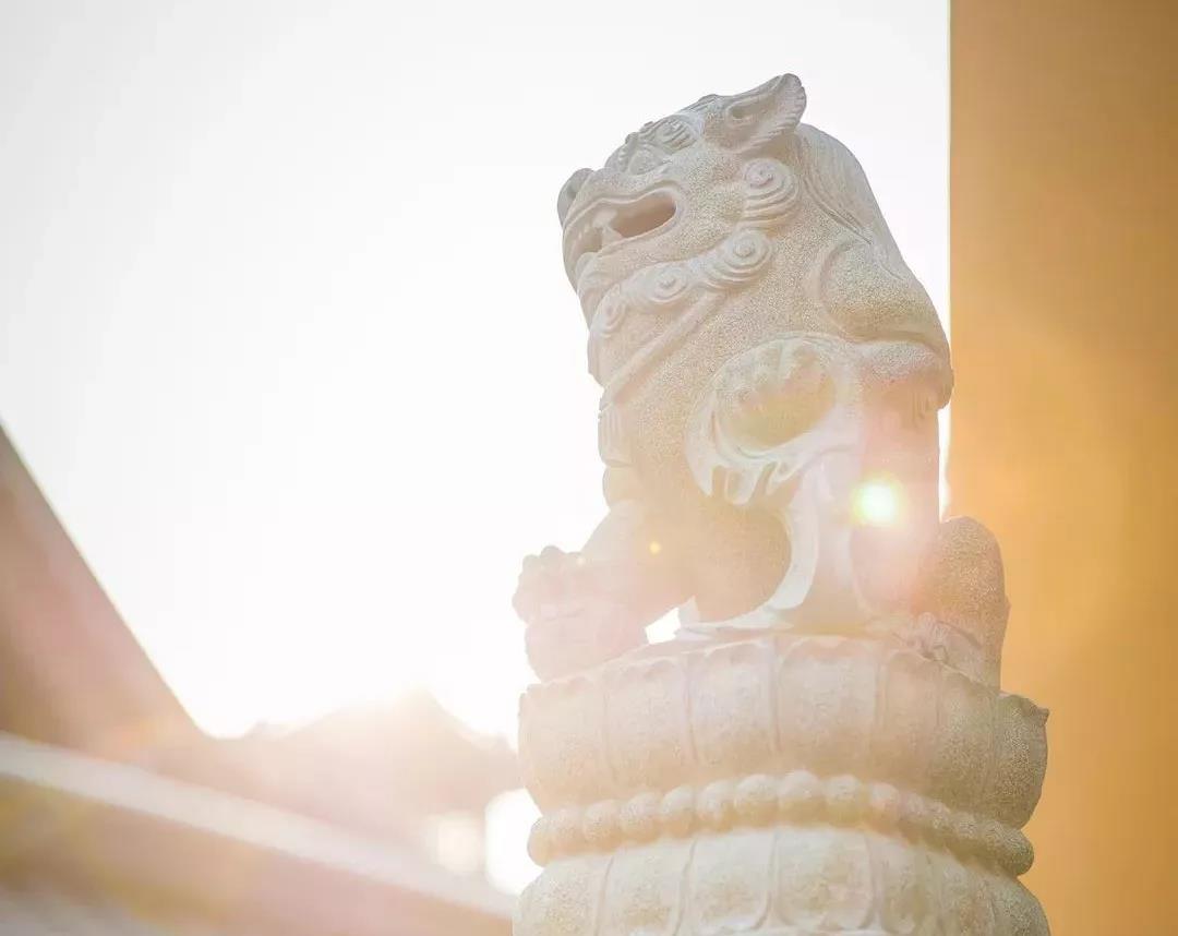 居士,僧人不是你朋友、闺蜜! 居士,僧人不是你朋友、闺蜜!