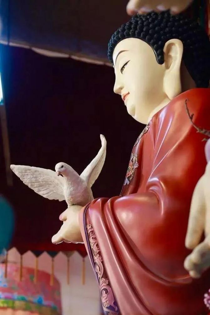 һ��һҹ�ֽ�Ĺ����ж��������벻��