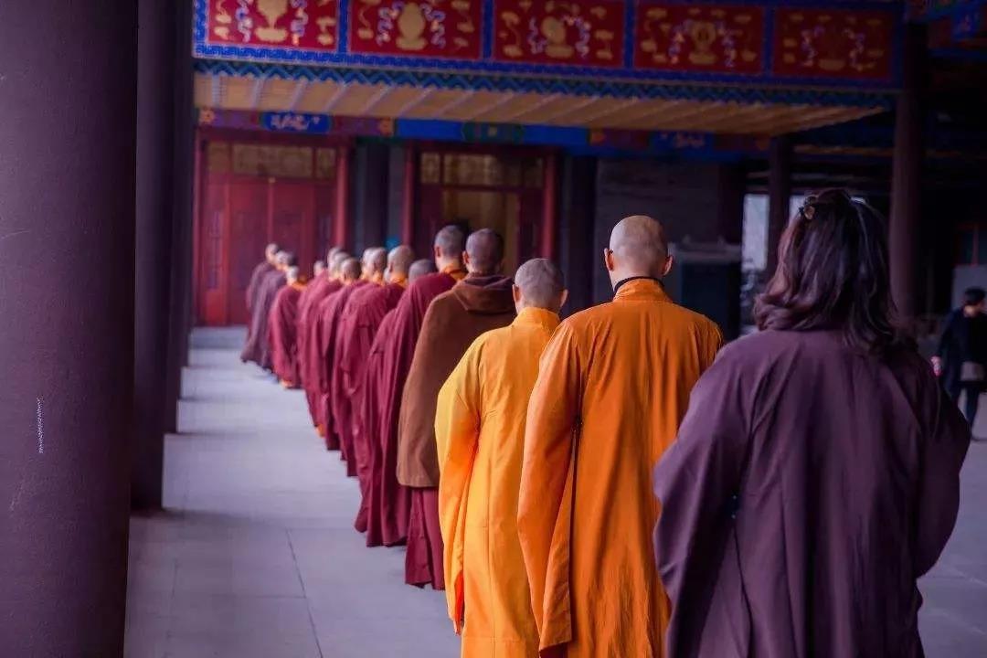 修行有没有效果呢?为什么这些灾难你都没有? 修行有没有效果呢?为什么这些灾难你都没有?