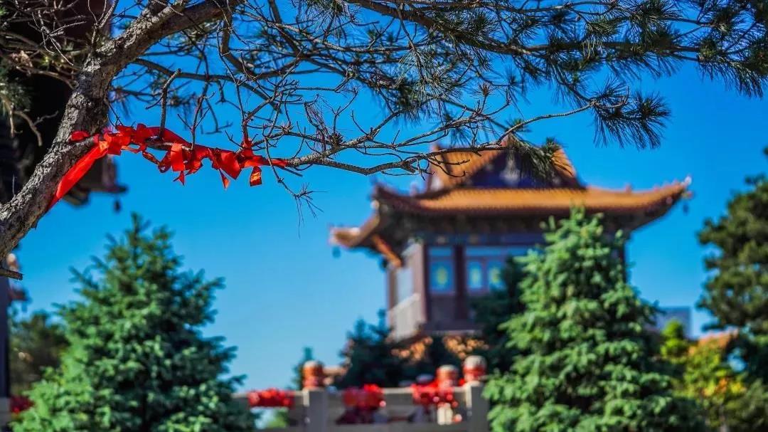 修行有没有效果呢?为什么这些灾难你都没有? 修行有没有效果呢?为什么这些灾难你都没有?