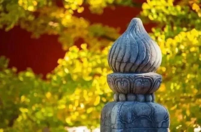 �����������Ǻ쳾���ģ�Ҫ���ľ��������������е���һ��