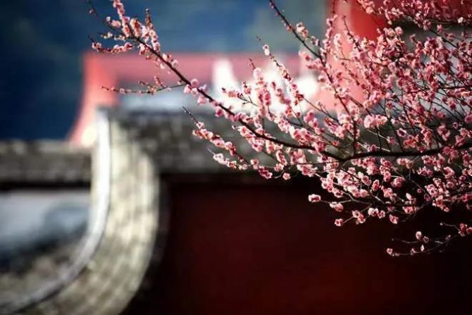 �����������Ǻ쳾���ģ�Ҫ���ľ��������������е���һ��